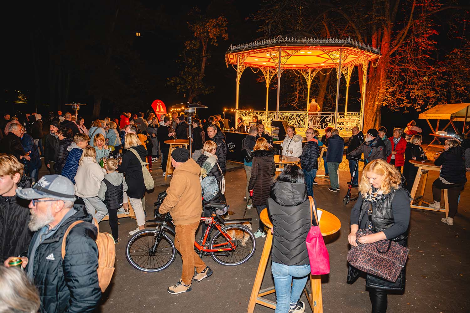 Dan Maribora 2025, koncert v Mestnem parku Leonart