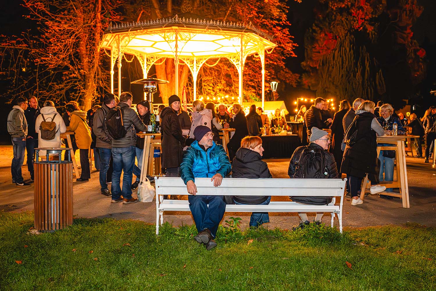 Dan Maribora 2025, koncert v Mestnem parku Leonart