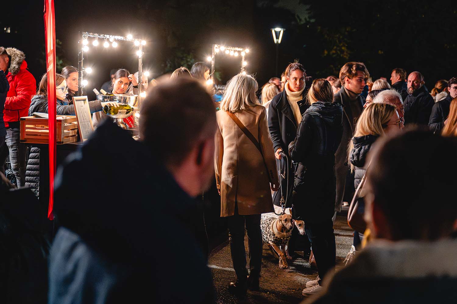Dan Maribora 2025, koncert v Mestnem parku Leonart