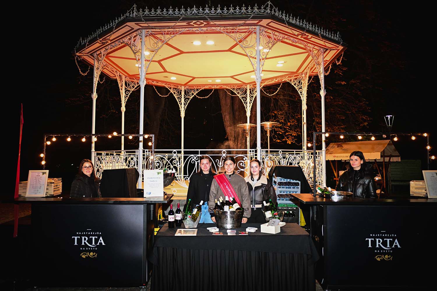 Dan Maribora 2025, koncert v Mestnem parku Leonart