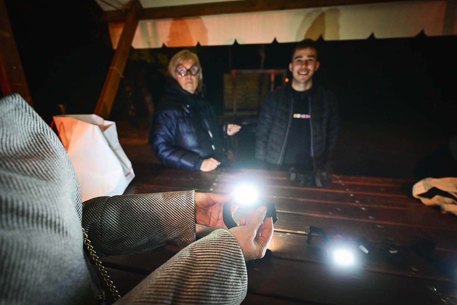 Dan Maribora 2025, koncert v Mestnem parku Leonart