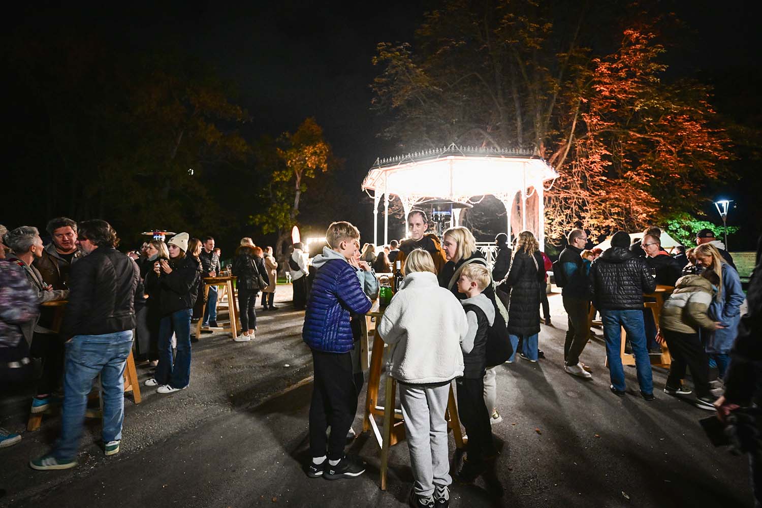 Dan Maribora 2025, koncert v Mestnem parku Leonart