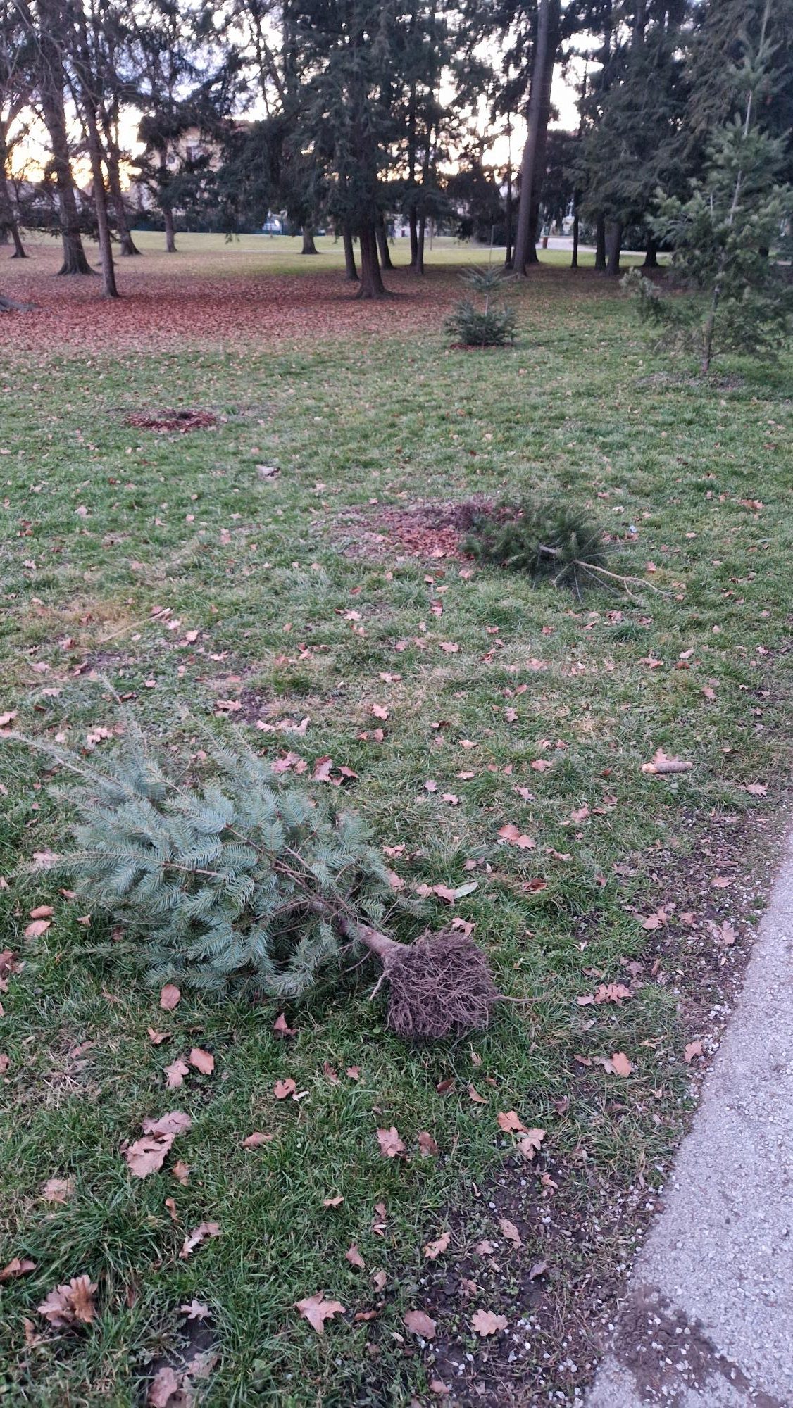 Vandalizem v Mestnem parku