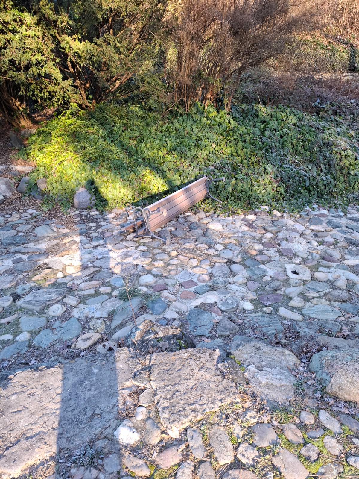 Vandalizem v Mestnem parku