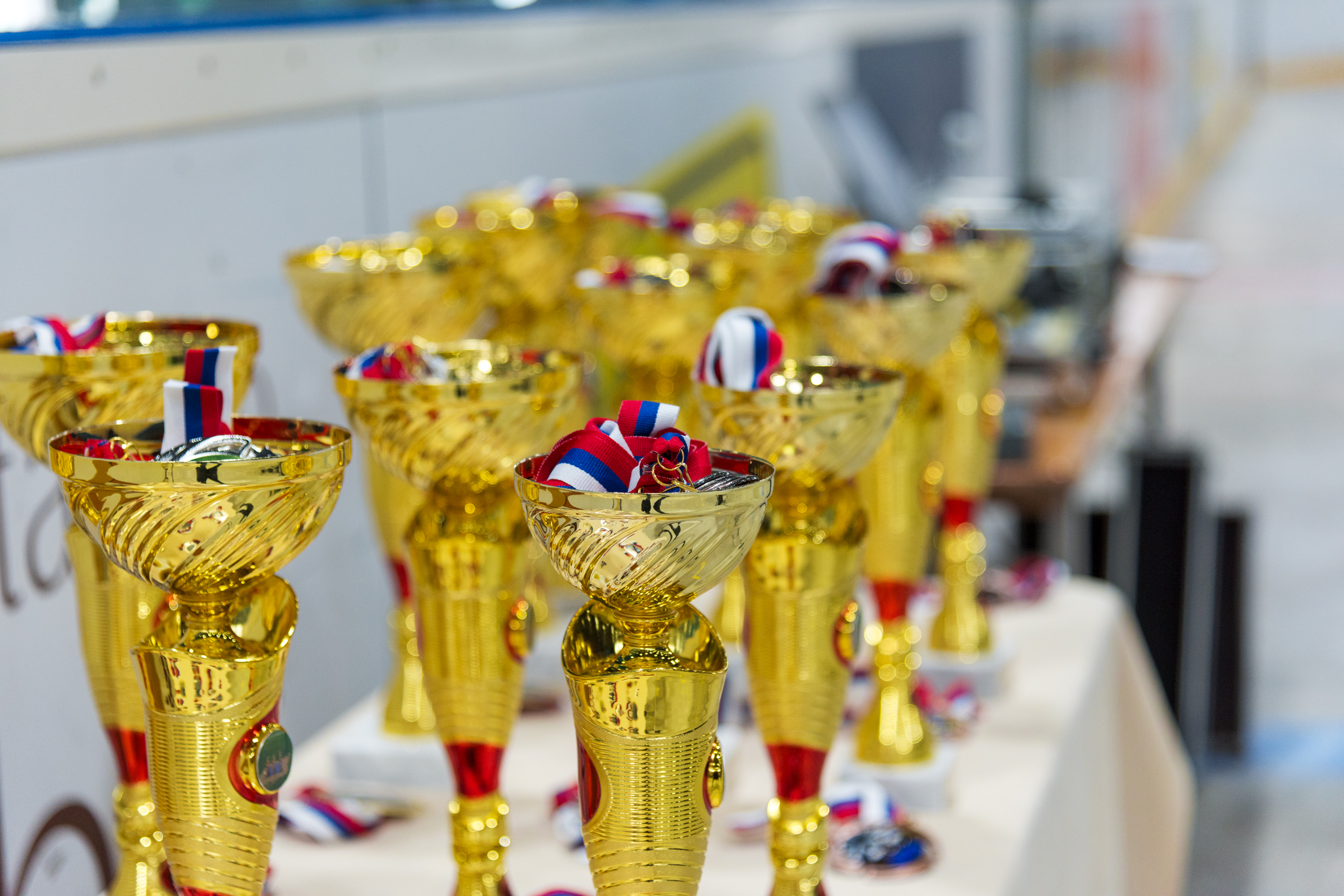 10 Pokali in medalje